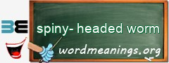 WordMeaning blackboard for spiny-headed worm